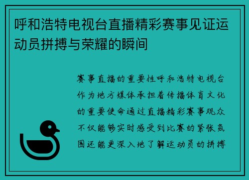 呼和浩特电视台直播精彩赛事见证运动员拼搏与荣耀的瞬间